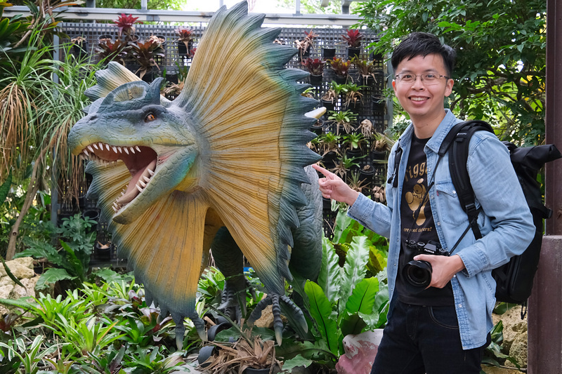 【沖繩】名護鳳梨園：逼真恐龍園區親子推薦＆搭超萌鳳梨電動車冒