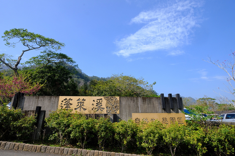 【苗栗南庄】蓬萊溪護魚步道：溪水清澈魚超多，免門票好停車平穩