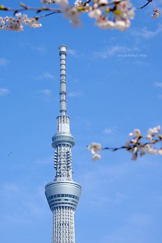 【東京】隅田川＆隅田公園櫻花：遊船夜景超浪漫＆花火大會也是必