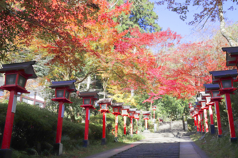 【京都楓葉景點】鞍馬寺：經典天狗必拍！門票、交通搭纜車上山最