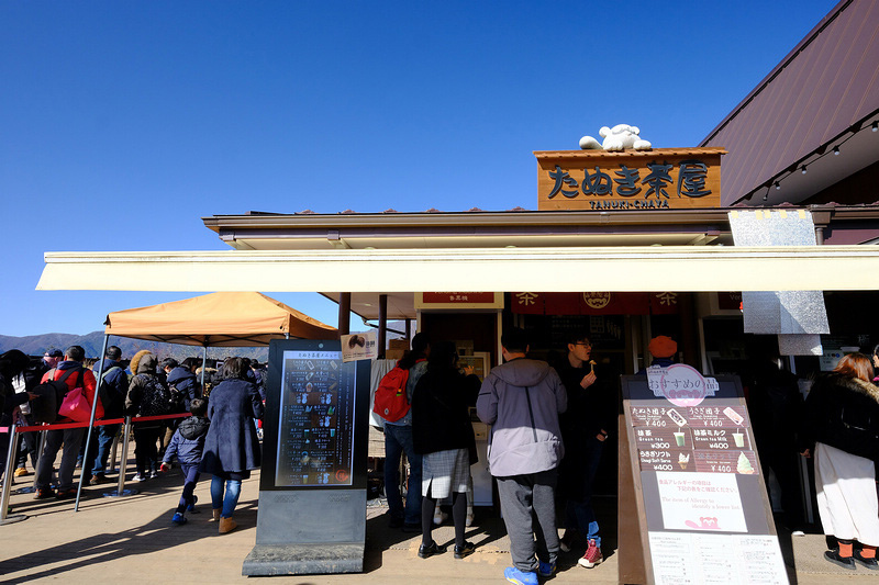 【天上山公園】必搭河口湖纜車！制高點眺望富士山全景＆超酷景觀