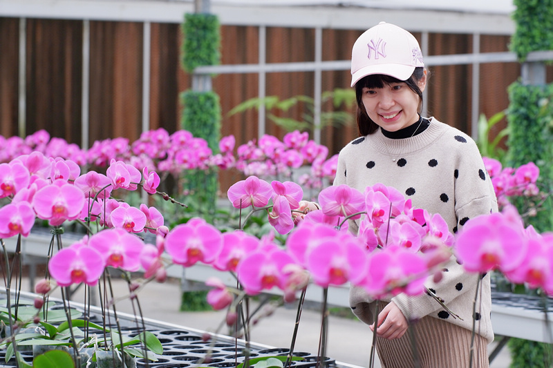 【宜蘭】金車礁溪蘭花園：不只能賞花！和水豚、狐獴、貓咪親密接