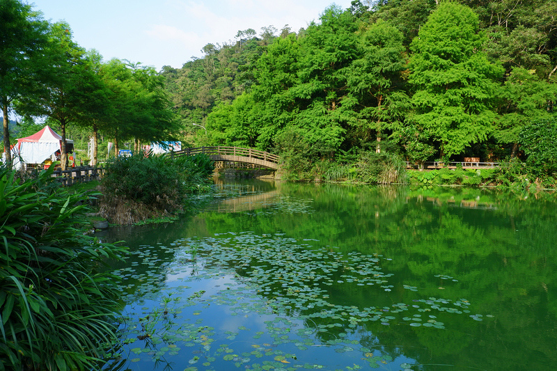 【宜蘭員山】望龍埤花田村：經典偶像劇場景！美食門票＆附近景點