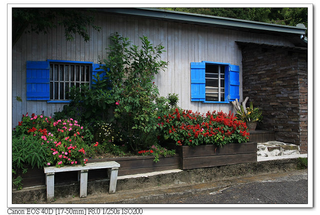 ［番路鄉］：輕鬆看日出☆阿里山茶香花園（南歐風民宿）