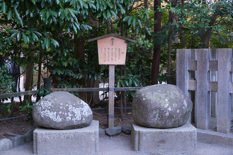 【鎌倉】鶴岡八幡宮