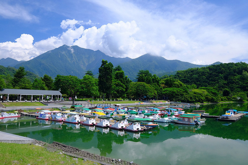 【花蓮】鯉魚潭風景區：環潭步道紅面鴨、露營獨木舟、美食活動一籮筐