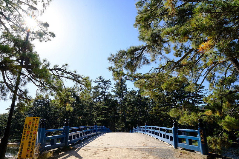 【天橋立一日遊行程】2024京都天橋立景點推薦！傘松公園、纜