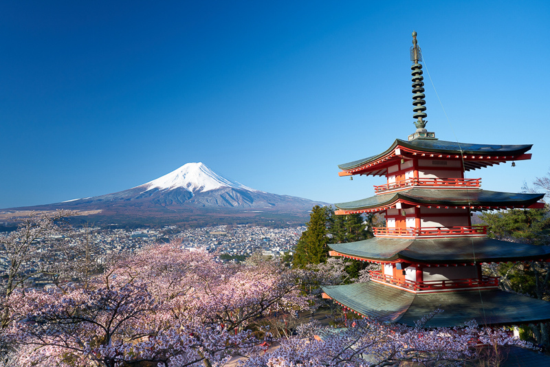 【河口湖】新倉富士淺間神社：絕美富士山景色！忠靈塔、鳥居櫻花