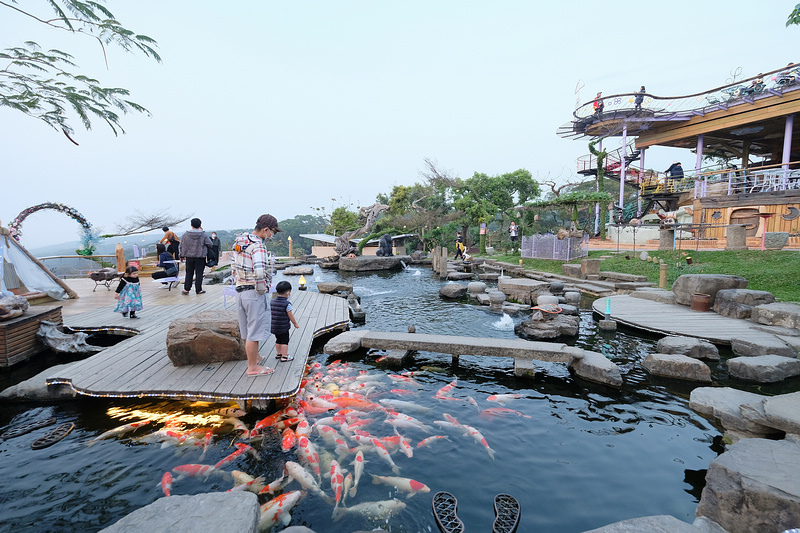 【南投】星月天空猴探井景觀餐廳：草泥馬＆百萬夜景超好玩！門票