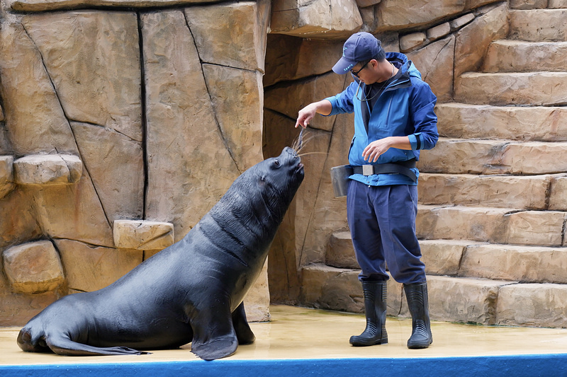 【桃園Xpark水族館】2024最新必看亮點、門票優惠、玩樂