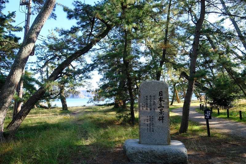 【天橋立一日遊行程】2024京都天橋立景點推薦！傘松公園、纜