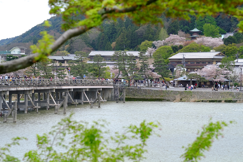 【京都】嵐山よしむら：手打蕎麥麵，渡月橋超人氣美食，坐擁櫻花