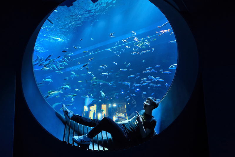 【沖繩】DMM Kariyushi水族館：餵食必看重點＆門票