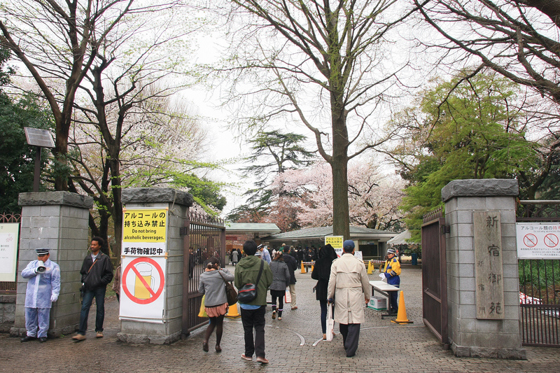 【東京】新宿御苑：櫻花＆楓葉大爆炸，門票美食交通＆附近景點一