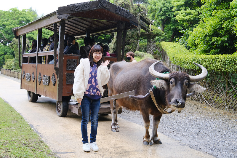 【沖繩】Bios之丘生態農場：遛山羊、湖中遊船、水牛車等親子