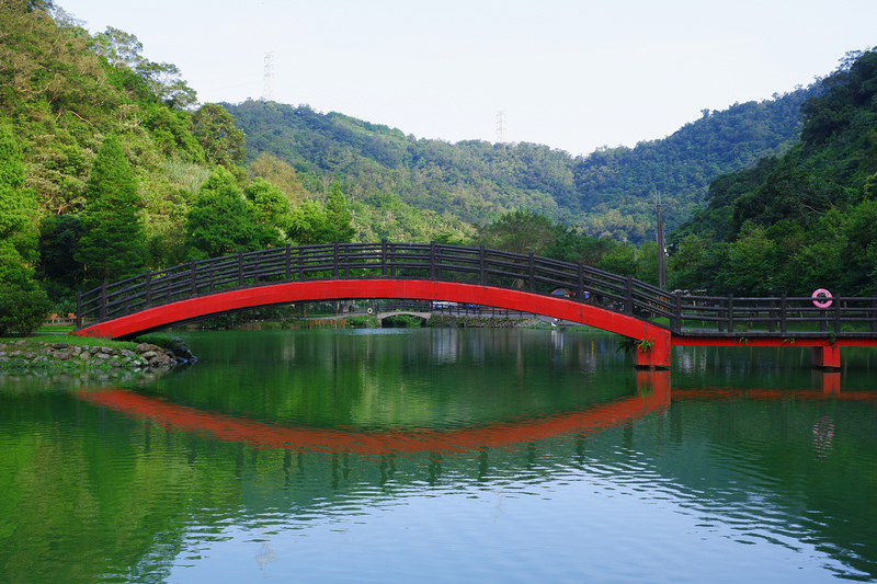 【宜蘭員山】望龍埤花田村：經典偶像劇場景！美食門票＆附近景點