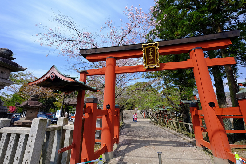 【奈良一日遊行程】2024奈良景點推薦＆自由行攻略！漫遊千年