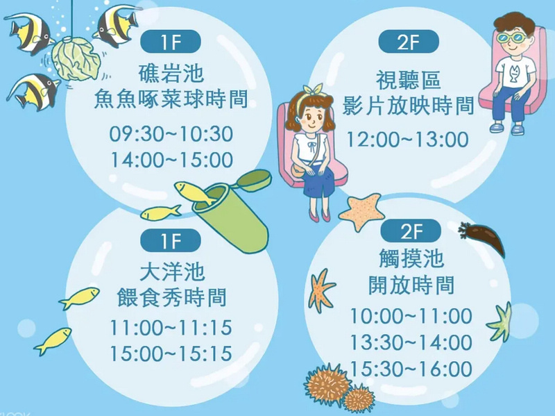 【澎湖】澎湖水族館：餵食秀超精彩！門票優惠＆海星觸摸池親子必