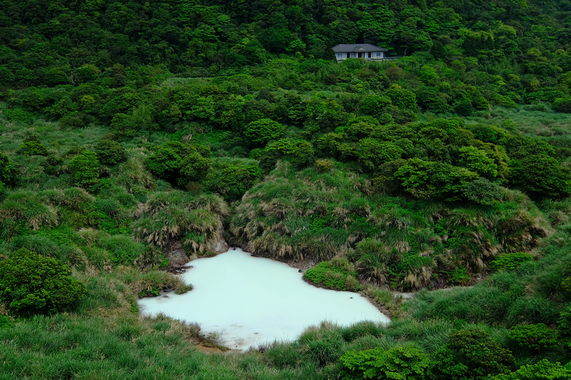 【陽明山】冷水坑步道：溫泉免費！冷擎步道、菁山吊橋、牛奶湖一次玩