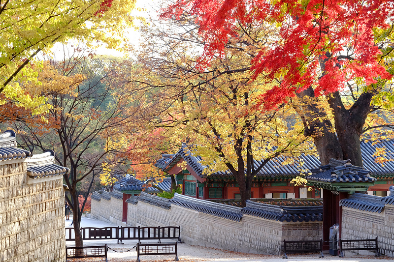 【韓國首爾】昌德宮秘苑預約＆門票韓服，紅葉漫天皇族後花園爆炸美