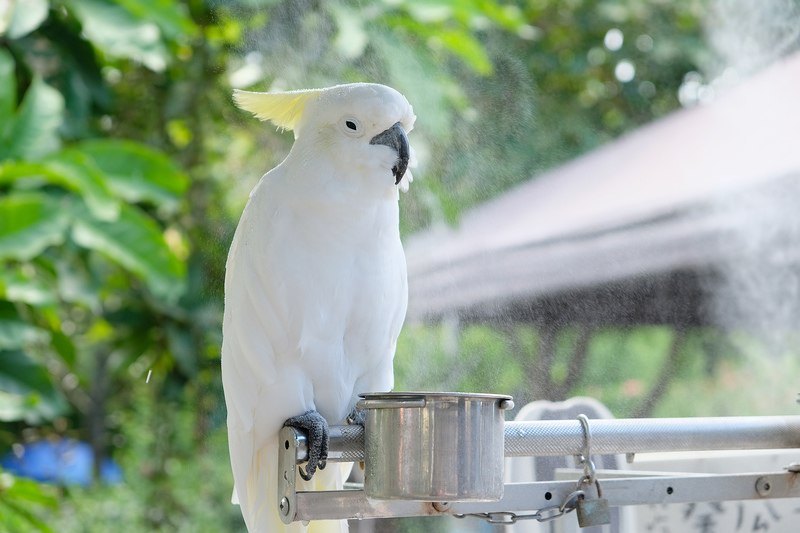 【宜蘭】宜農牧場：門票漲到150元！餵小動物、擠羊奶，親子一