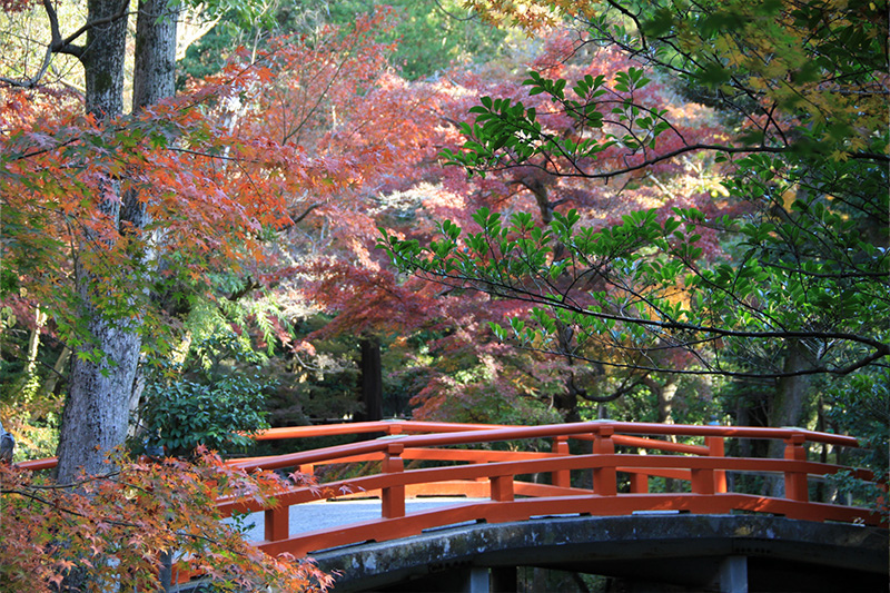 柳原神池.jpg