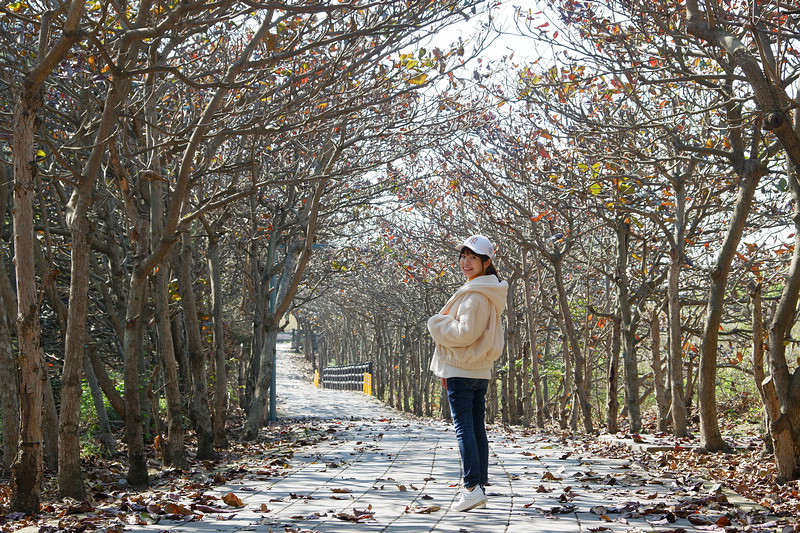 【新竹】17公里海岸線風景區：北台灣最美自行車道！10大私房