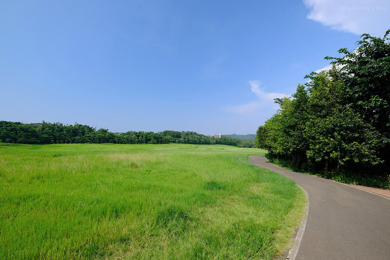 【新竹】青青草原：54公尺長溜滑梯、五大草原、健行步道，免門