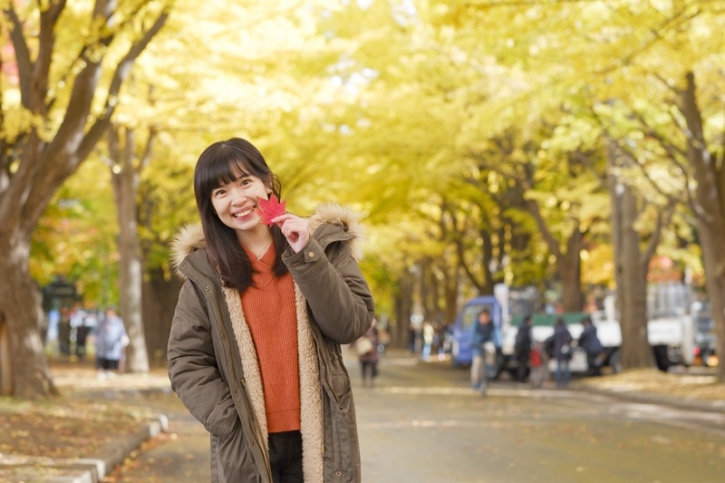 【札幌】北海道大學：銀杏大道美翻天！景點食堂、停車交通地圖全