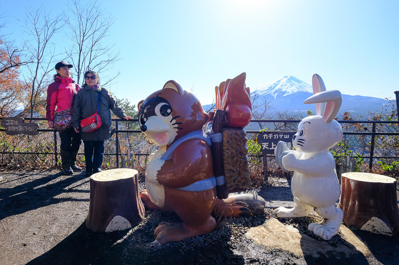 【天上山公園】必搭河口湖纜車！制高點眺望富士山全景＆超酷景觀