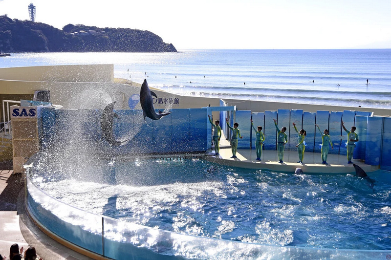 水族館1.jpg