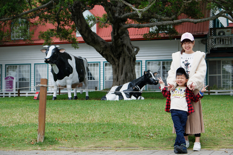 【苗栗通霄】飛牛牧場：擠奶餵羊趣！門票優惠、住宿餐廳親子一日