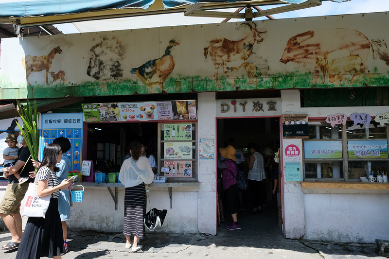 【宜蘭】宜農牧場：門票漲到150元！餵小動物、擠羊奶，親子一