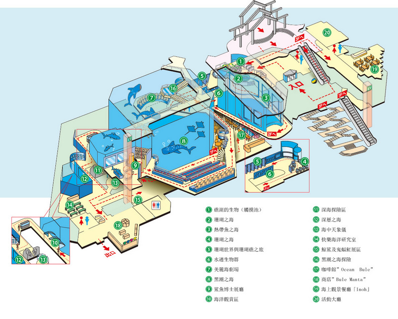 【沖繩】美麗海水族館最強攻略：必看表演、美食必買、門票交通大