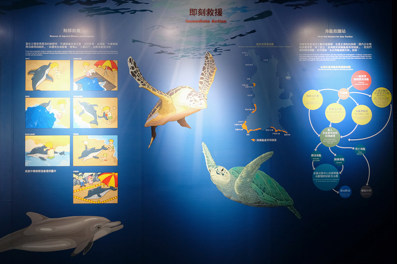 【澎湖】澎湖水族館：餵食秀超精彩！門票優惠＆海星觸摸池親子必