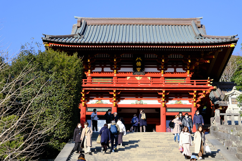 【鎌倉】鶴岡八幡宮