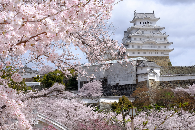 【姬路城攻略2024】日本第一名城！櫻花一日遊、天守閣重點＆