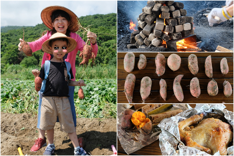 【新北金山】汪汪地瓜園：免門票挖地瓜激推！控窯烤肉、玩水沙坑評價讚