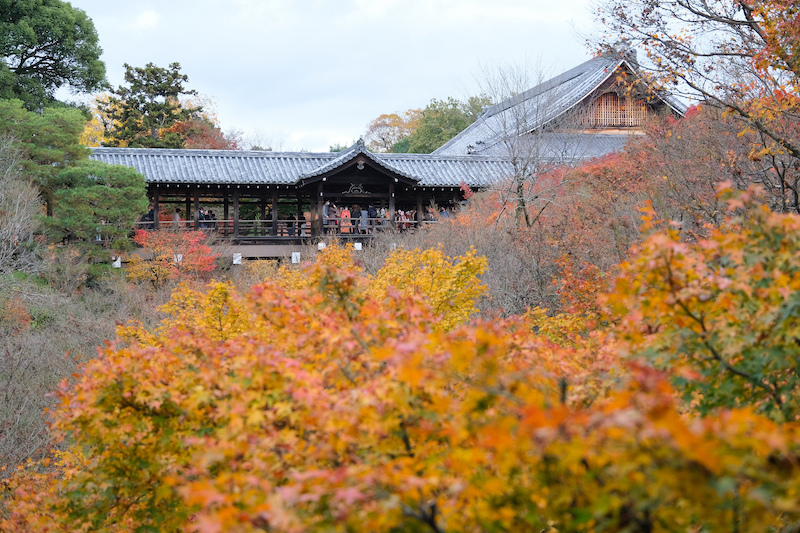 【京都賞楓景點】東福寺：楓葉之王美譽！通天橋紅葉火海般超吸睛