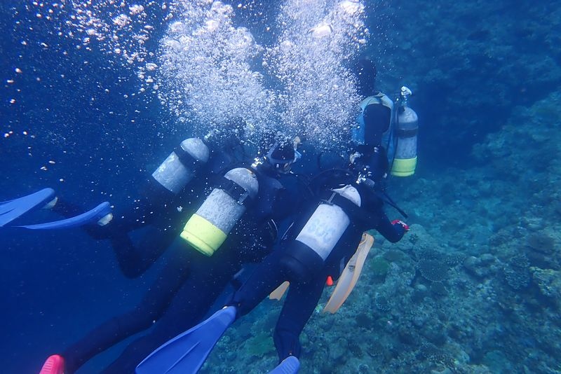 【沖繩浮潛潛水推薦】青之洞窟：海水清澈魚群超多，費用不貴兒童