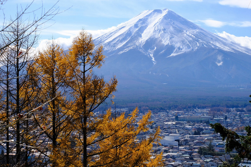 【河口湖】新倉富士淺間神社：絕美富士山景色！忠靈塔、鳥居櫻花