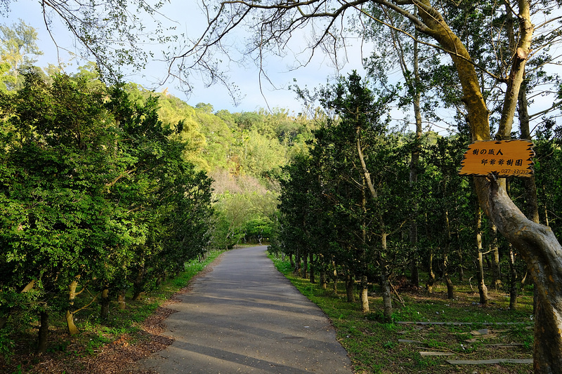 【苗栗】貓狸山功維敘隧道：七彩霓虹燈步道、懷舊火車、市集美食