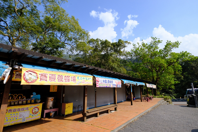 【苗栗南庄】蓬萊溪護魚步道：溪水清澈魚超多，免門票好停車平穩