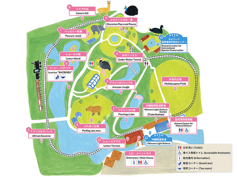 【沖繩】名護自然動植物公園：零距離接觸動物！鐵道火車和飛禽表