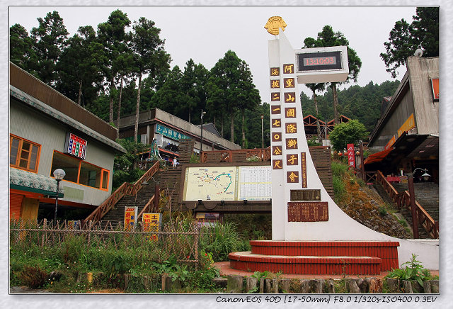 ［竹崎鄉］：看神木千變萬化☆阿里山國家森林