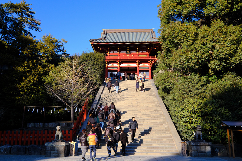 【鎌倉】鶴岡八幡宮：日本三大八幡宮！供奉武士守護神，櫻花超漂