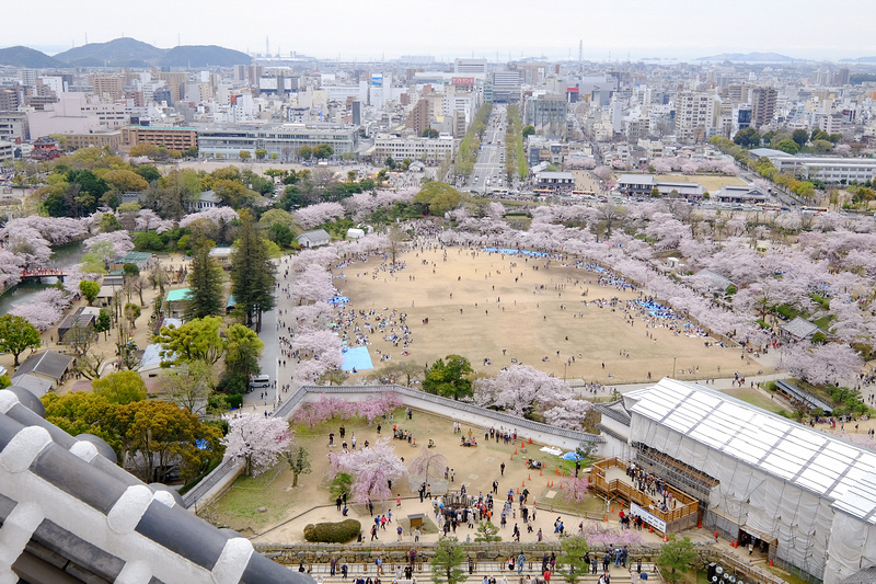 【姬路城攻略2024】日本第一名城！櫻花一日遊、天守閣重點＆