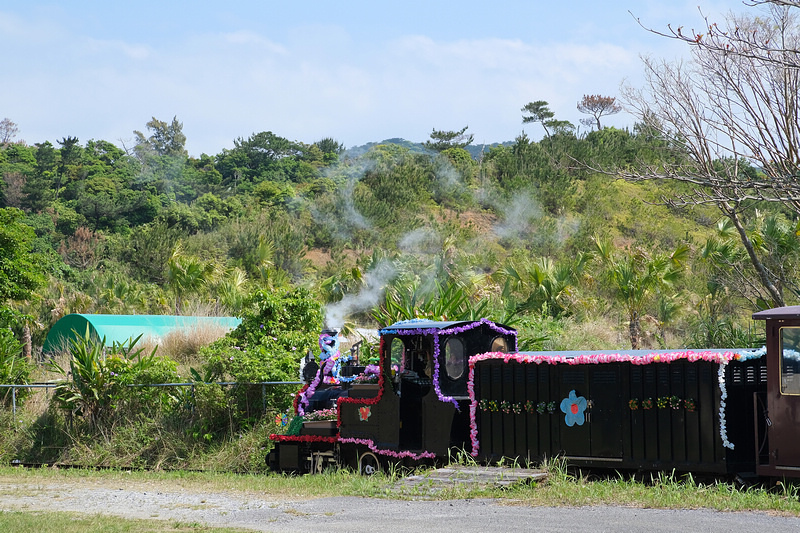 【沖繩】名護自然動植物公園：零距離接觸動物！鐵道火車和飛禽表