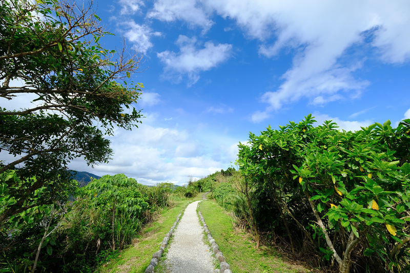 【花蓮豐濱】大石鼻山步道：輕鬆眺望無邊際海景！飛魚卵香腸也是