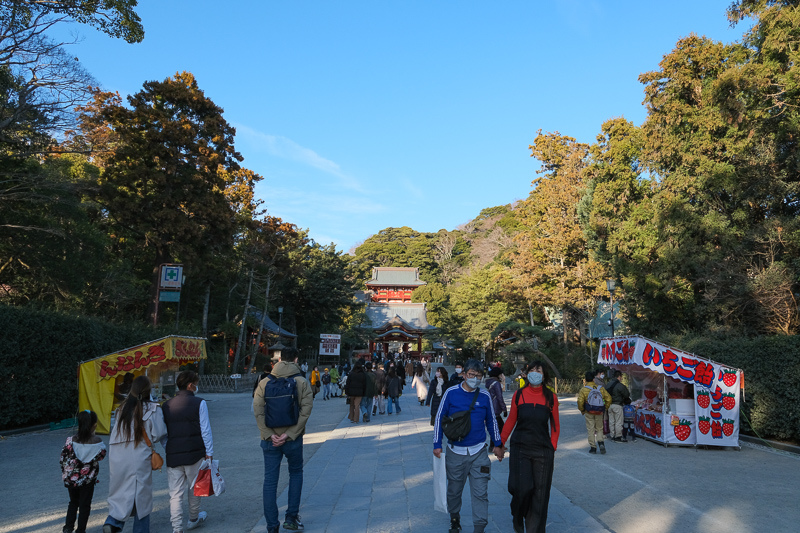 【鎌倉】鶴岡八幡宮